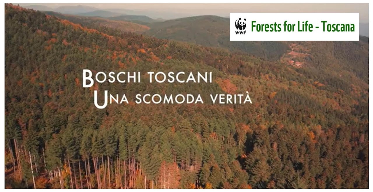 Boschi Toscani: una scomoda verità